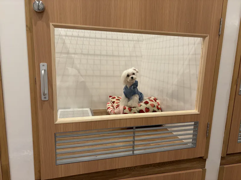 個室の扉越しのワンちゃん